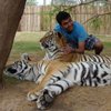 Alireza79