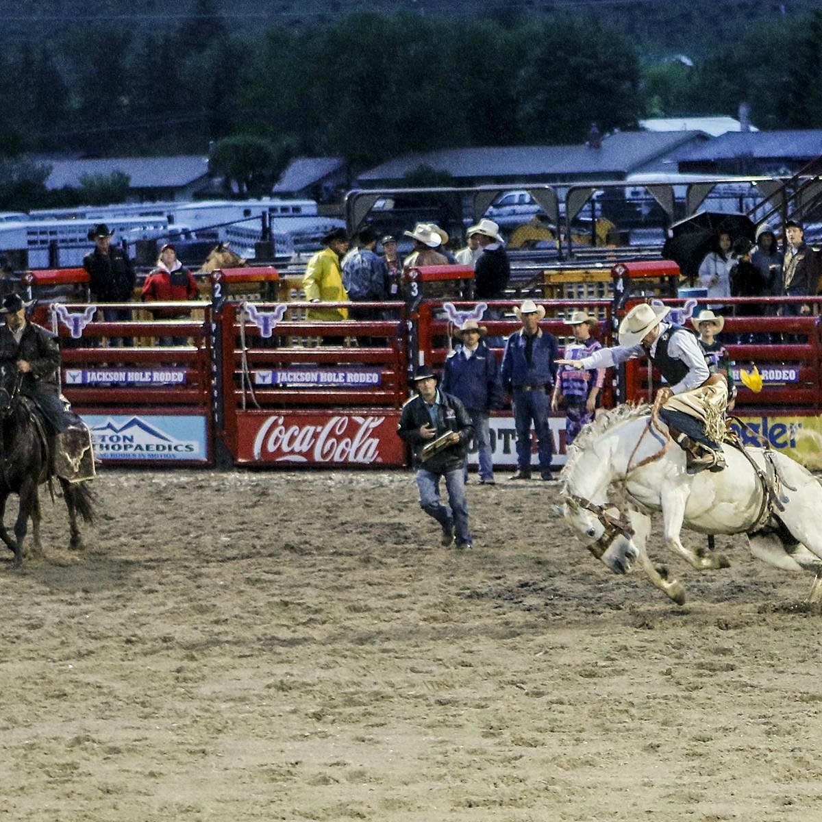 JACKSON HOLE RODEO All You Need to Know BEFORE You Go