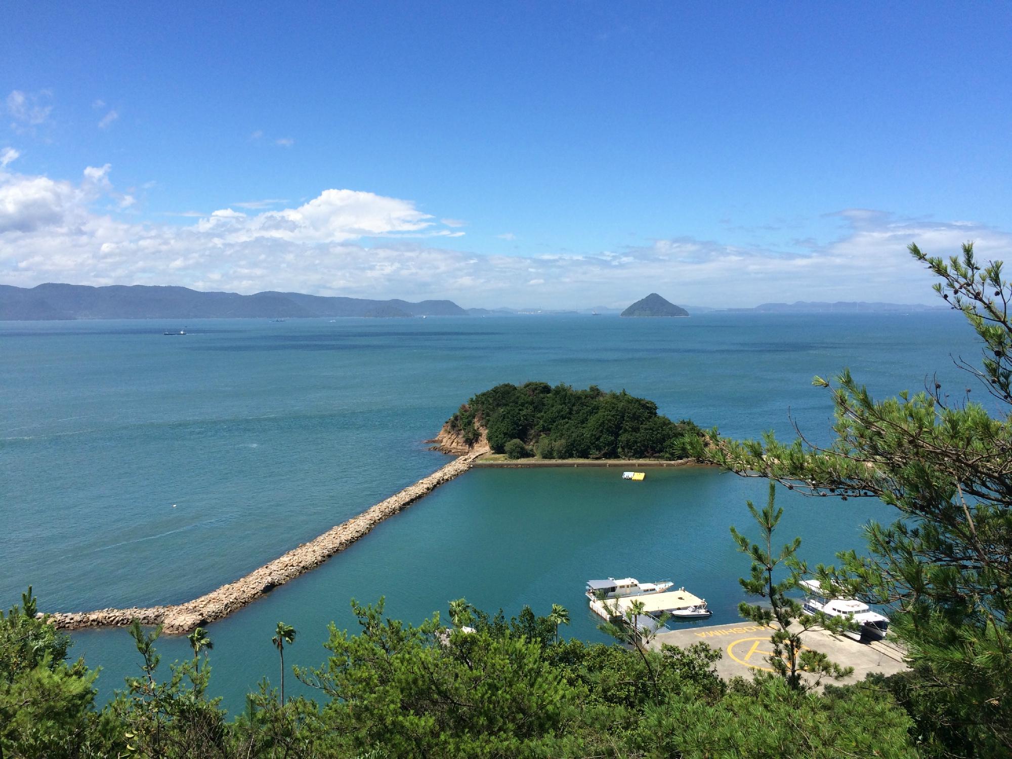 2025年 地中美術館 - 出発前に知っておくべきことすべて