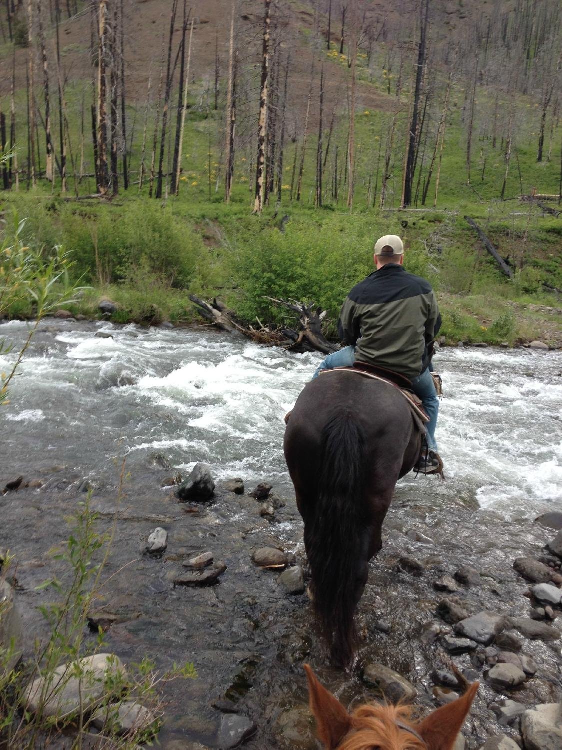 Absaroka Mountain Lodge Hiking: Pictures & Reviews - Tripadvisor