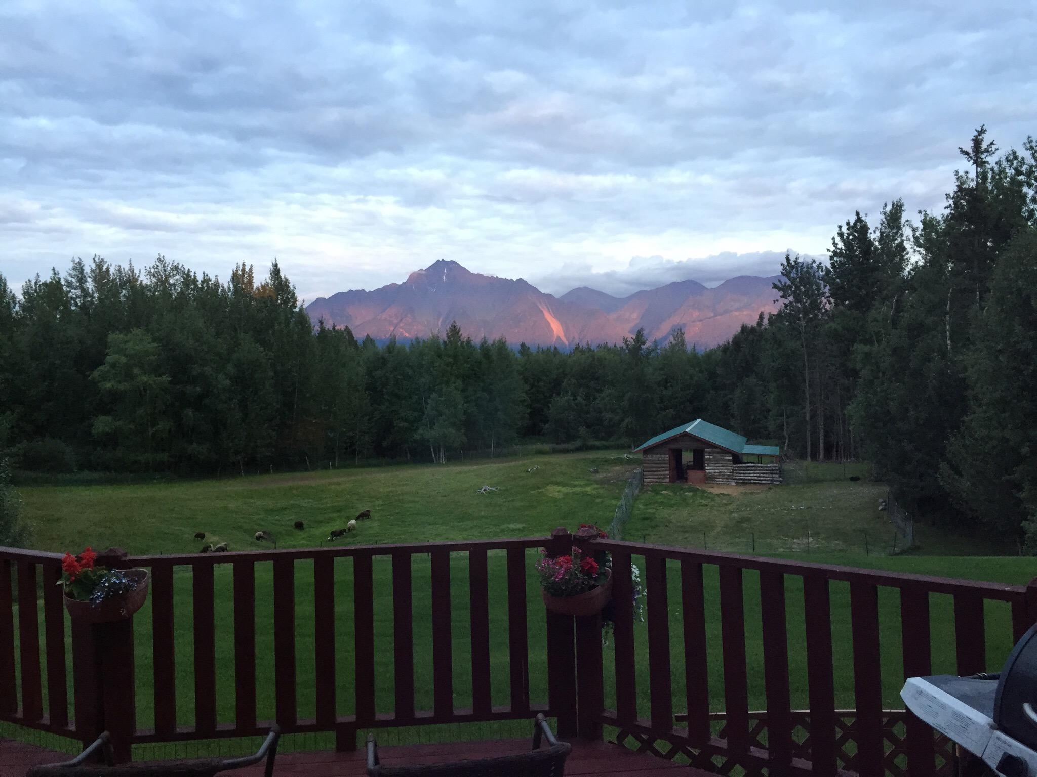 ALASKA'S HARVEST B&B - Updated 2022 Prices & Reviews (Palmer)