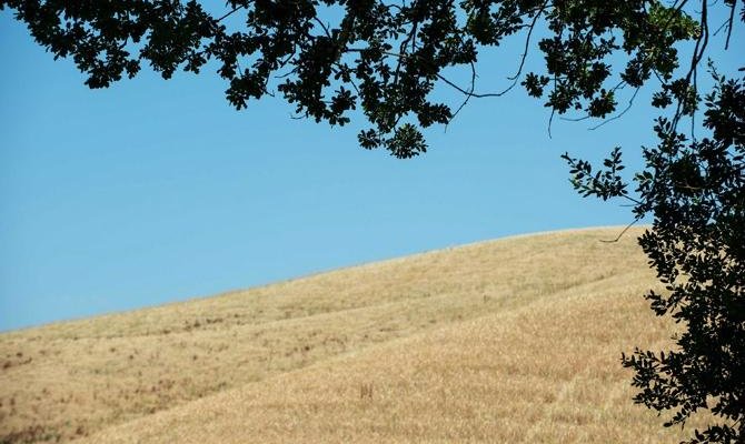 Summertime panoramas