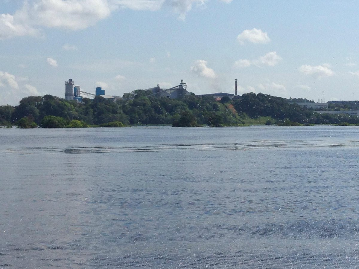 Musa é santuário para conhecer a flora amazônica no Dia da Árvore