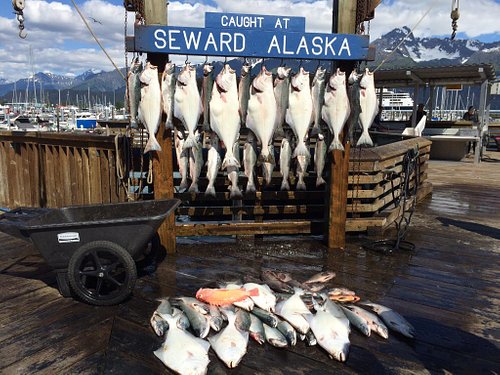 fishing tours in seward alaska