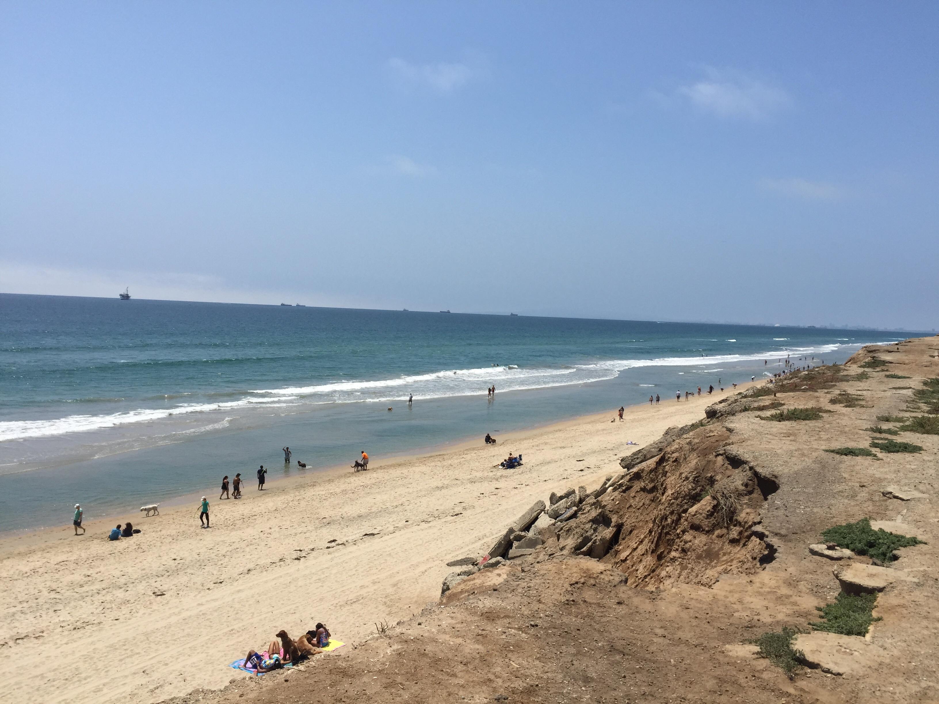 Huntington Dog Beach (亨廷顿海滩) - 旅游景点点评- Tripadvisor