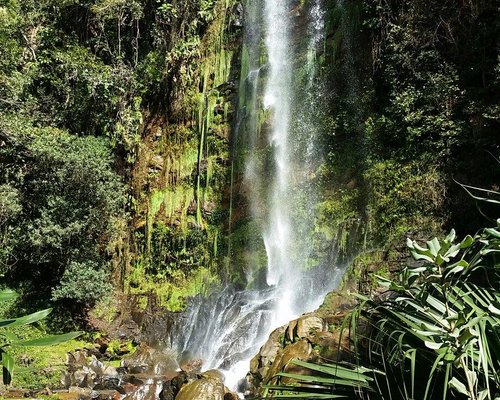 The Best Trails in Ôlho d'Água, Estado de Goiás (Brazil)