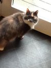 MistyMoo17