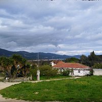 η θεα απο το οινοποιειο