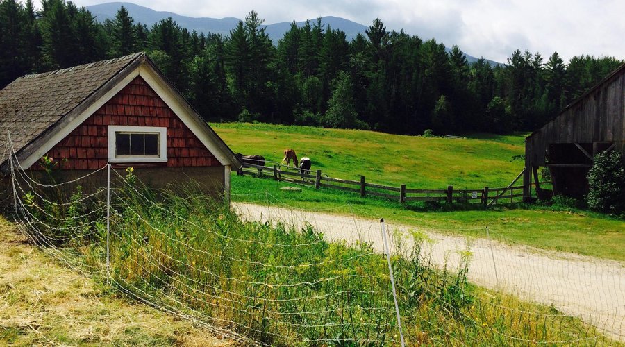 Distant mountains over hen house