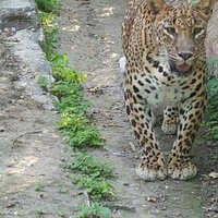 gaden and zoo