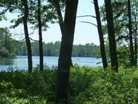 Bass River State Forest (Tuckerton) - 2021 All You Need to Know Before ...