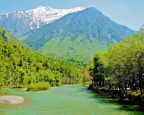 THE 10 BEST and Kashmir Nature & Wildlife Areas (with Photos) - Tripadvisor
