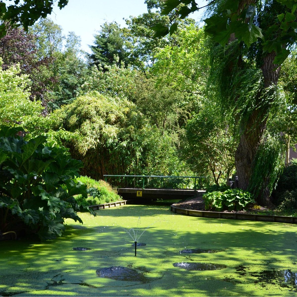 TU BOTANICAL GARDEN (Delft) - All You Need to Know BEFORE You Go