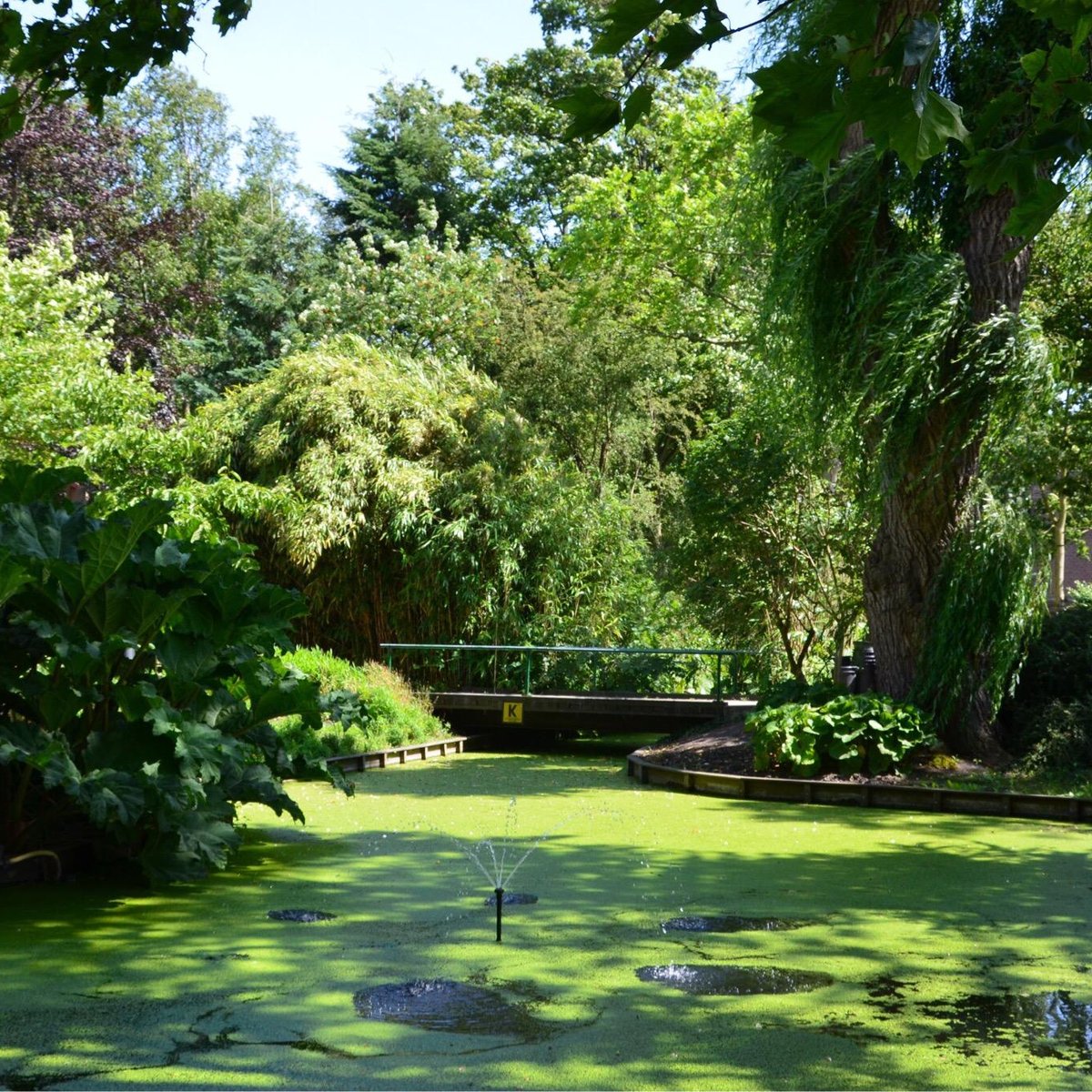 Hortus ландшафтный дизайн