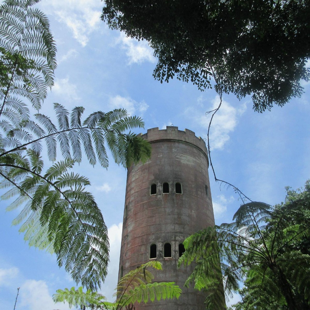 Yokahú Observation Tower, Национальный заповедник Эль-Юнк: лучшие советы пе...