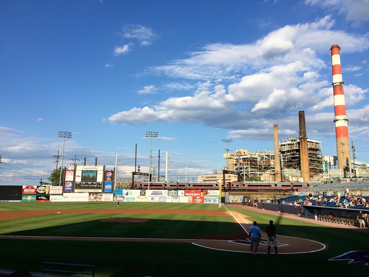 Bridgeport Bluefish Baseball Club - All You Need to Know BEFORE You Go  (with Photos)