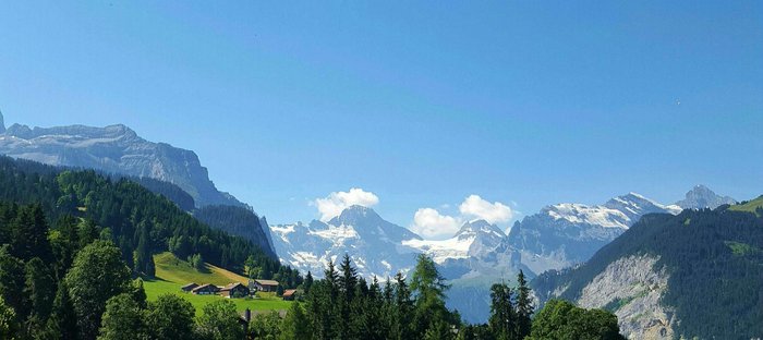 Chalet Aelpli Bed And Breakfast - Specialty B&b Reviews (wengen 