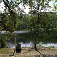 Musvannet