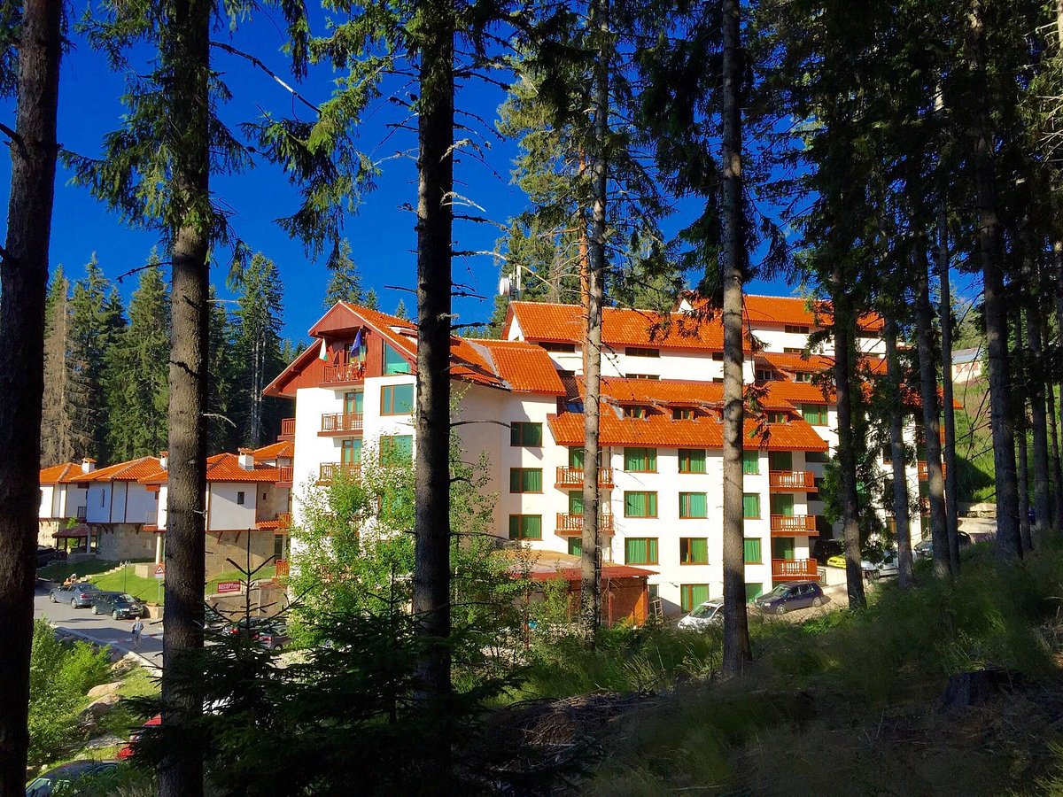 FOREST GLADE APARTMENTS & SPA (Пампорово) - отзывы и фото - Tripadvisor