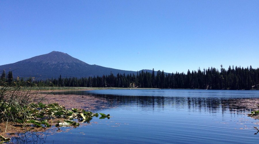 Beautiful day canoeing Hosmer Lake 7/23/15