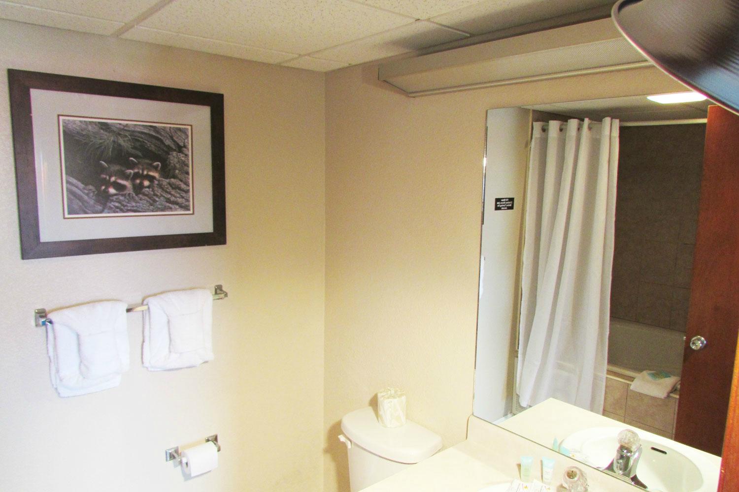 Hotel photo 14 of Arbors at Island Landing Hotel & Suites.