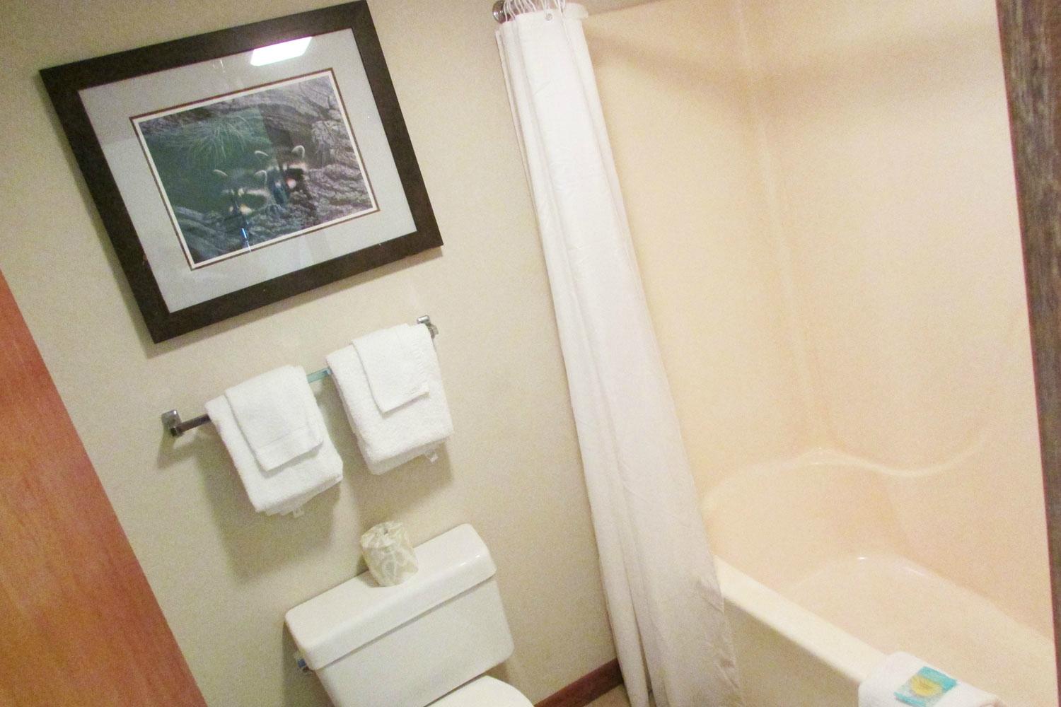 Hotel photo 35 of Arbors at Island Landing Hotel & Suites.