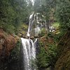 Things To Do in Dog Creek Falls, Restaurants in Dog Creek Falls