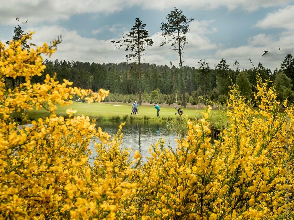 Silkeborg Golf Club (Danmark) - anmeldelser -