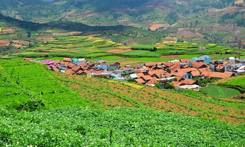 Poombarai village view