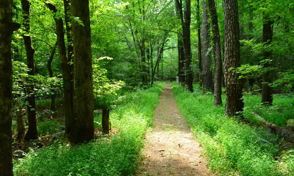 Mount Gilead 2021 Best of Mount Gilead, NC Tourism Tripadvisor