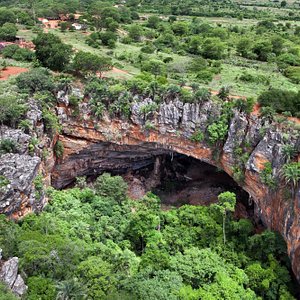 Help in the farm and nursery activities in Chapada Diamantina, Bahia