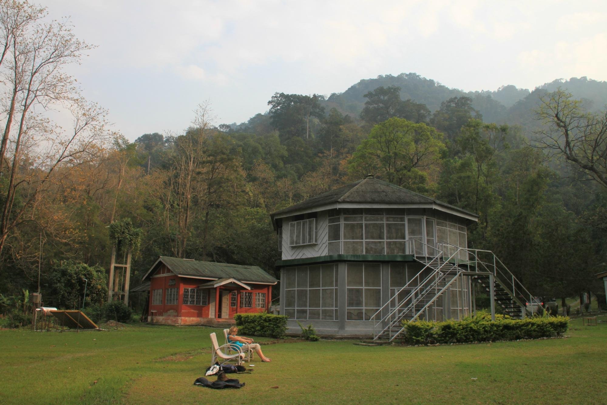 Namdapha National Park deforestation causes clash between authorities and  Yobin communities