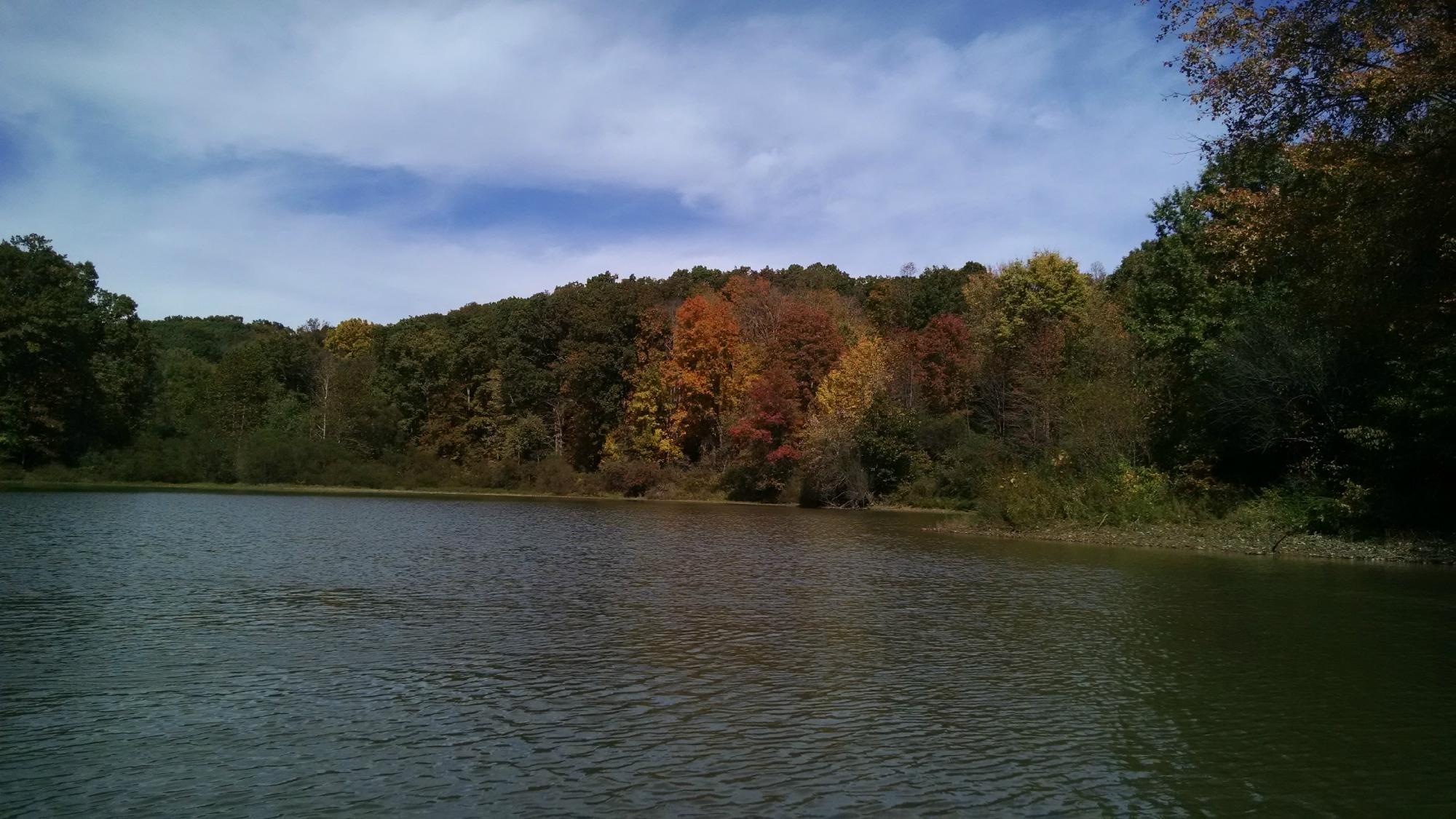 SALT FORK STATE PARK Cambridge Ce Qu Il Faut Savoir   Salt Fork State Park 