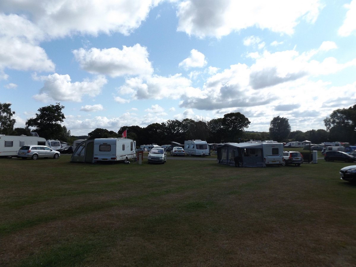 Verwood Camping and Caravanning Club Site Rooms: Pictures & Reviews ...