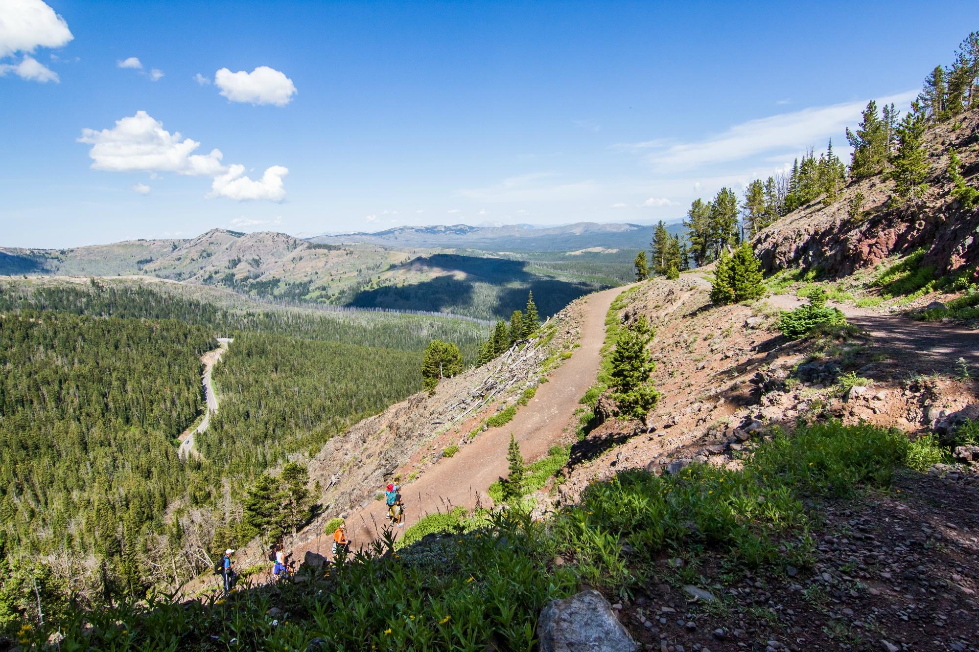 Washburn 2025 trail yellowstone