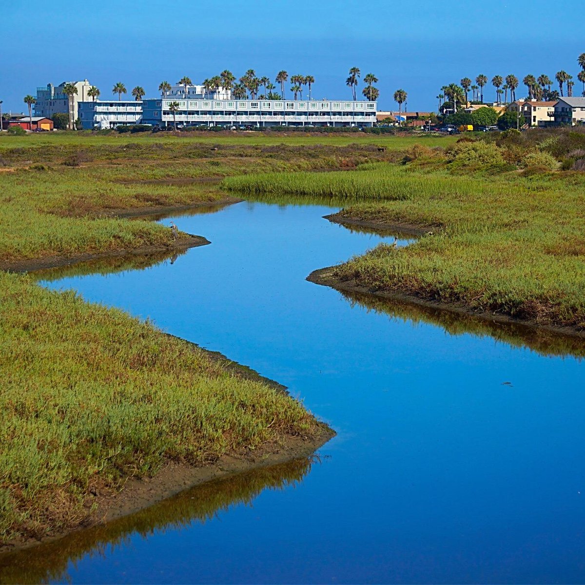 River Estuary