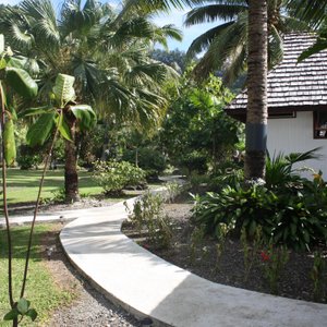 Le jardin vue 3