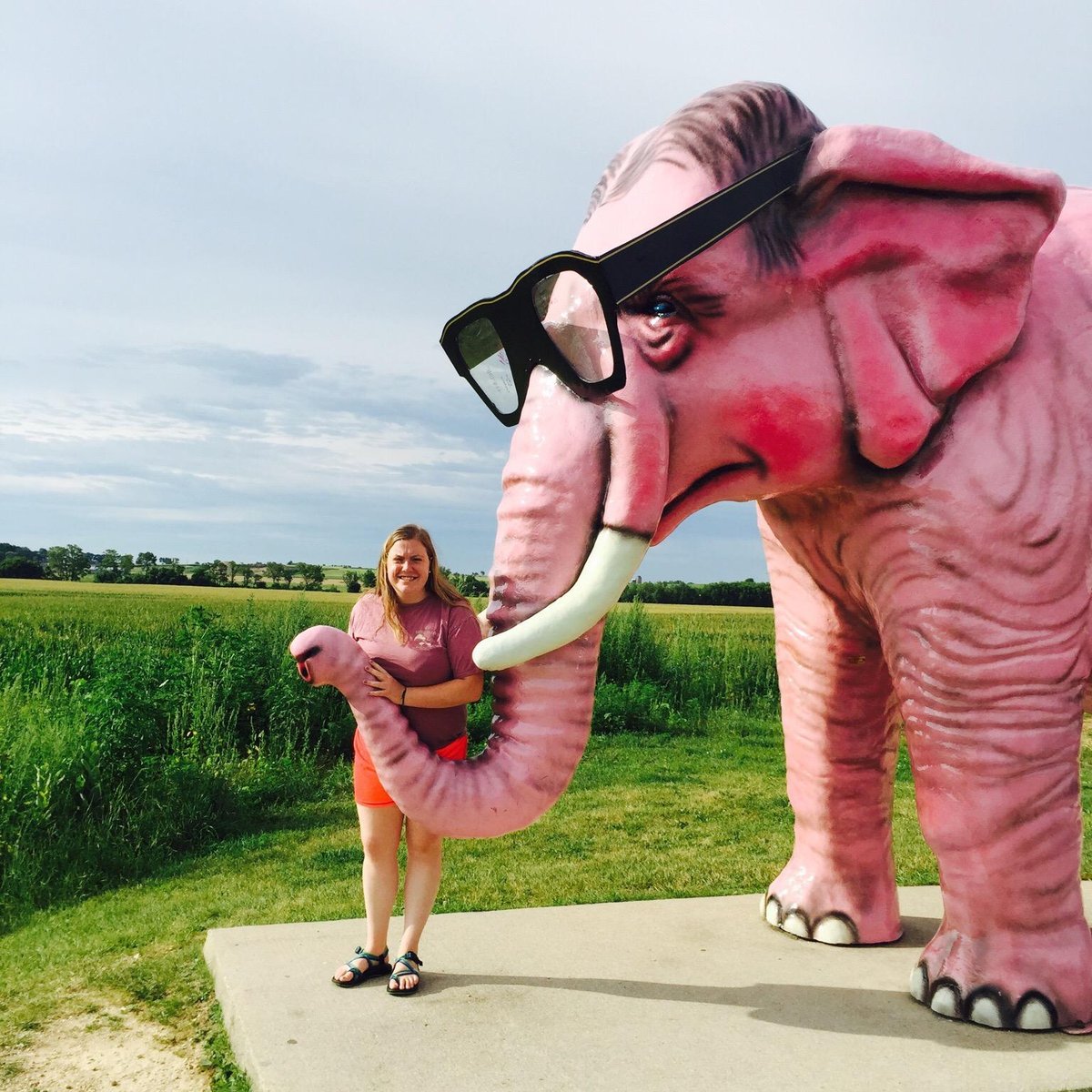 Picture of Pink Elephant