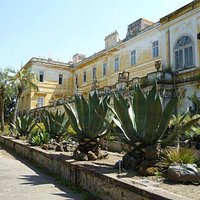 Orto Botanico Portici (particolare)