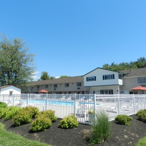 Nicely landscaped pool area
