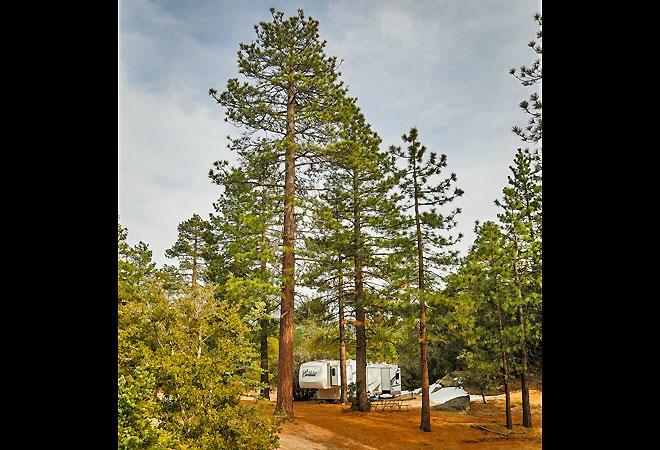 Hotel photo 20 of Idyllwild RV Resort.