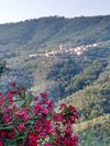 stigolof