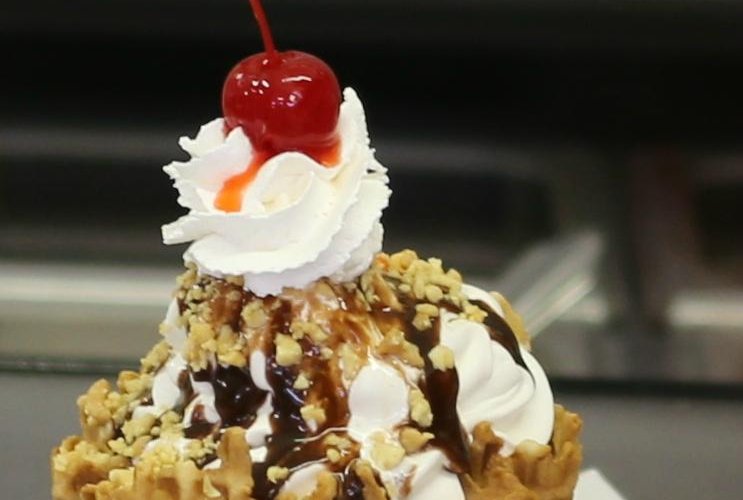 Igloo Waffle bowl