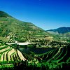 Things To Do in Douro Valley, Restaurants in Douro Valley