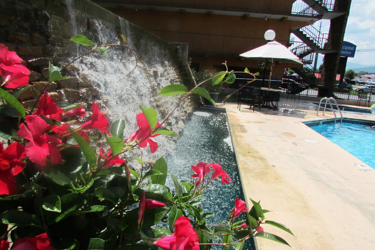 Hotel photo 7 of Arbors at Island Landing Hotel & Suites.