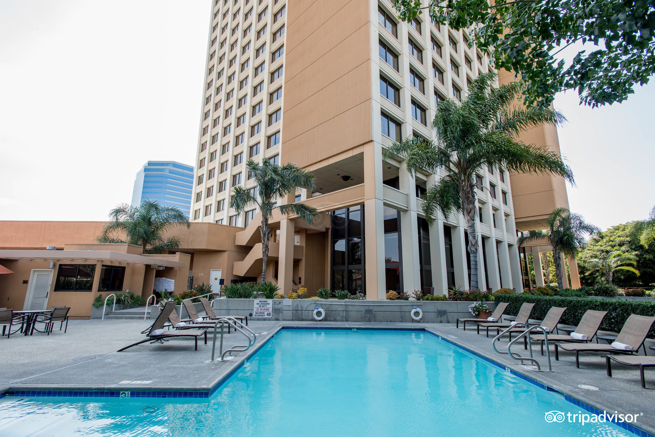 DOUBLETREE BY HILTON ANAHEIM ORANGE COUNTY Desde 2 368 Condado De   Pool  V7530835 