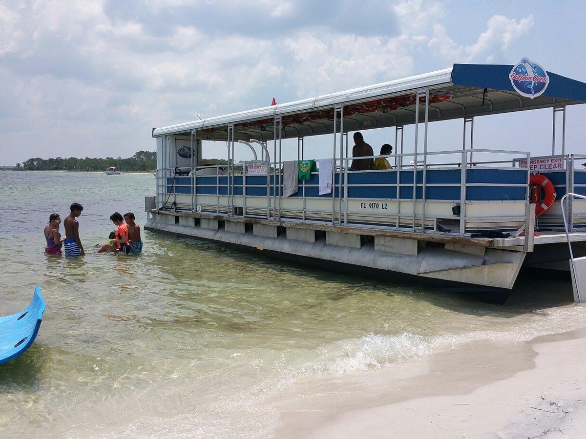 Shell Island Snorkeling & Dolphin Tours (Panama City Beach) - All You ...