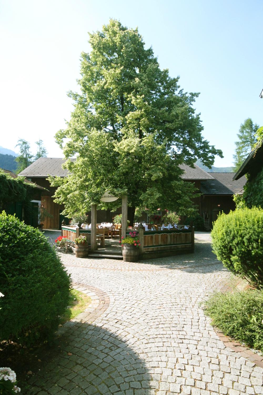 Hotel photo 31 of Hotel Hochsteg Guetl.