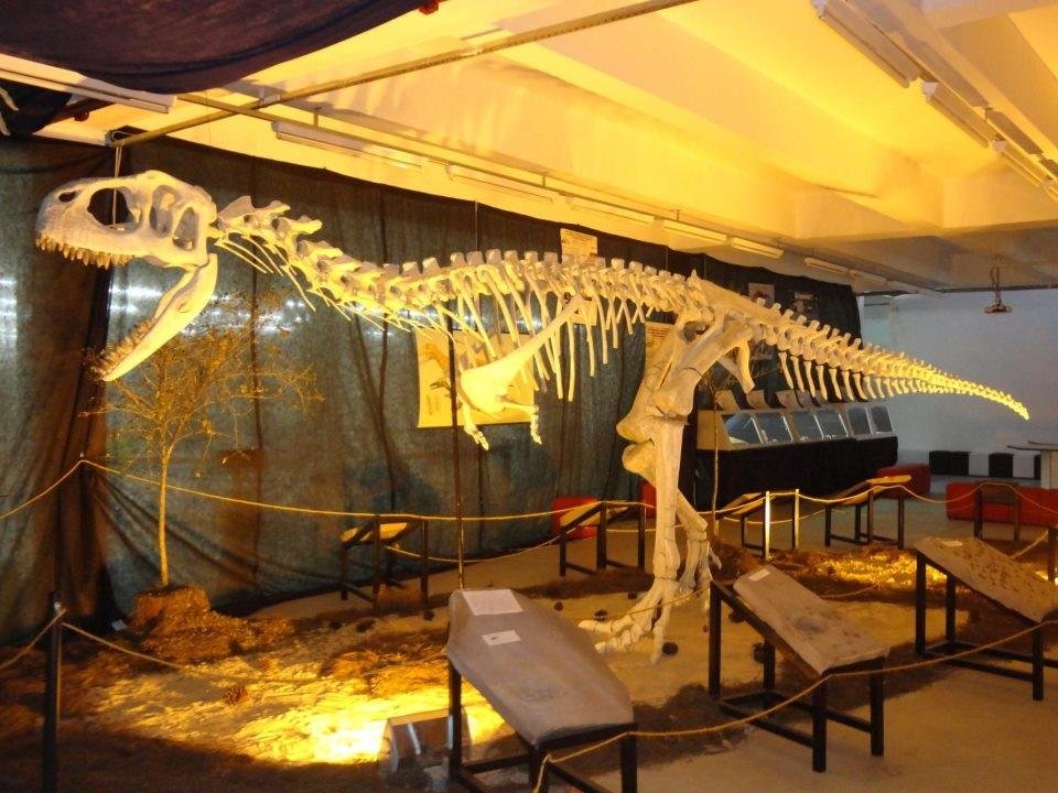 Museu dos dinossauros: jogo educativo