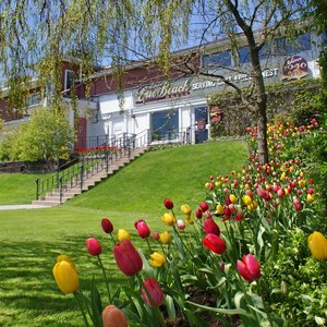 Our manicured lawns and gardens
